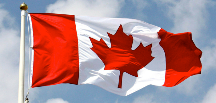 Canadas flag – The Mable Leaf