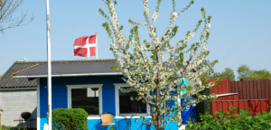 Kolonihavehus med flag